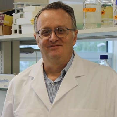 Ikerbasque Professor